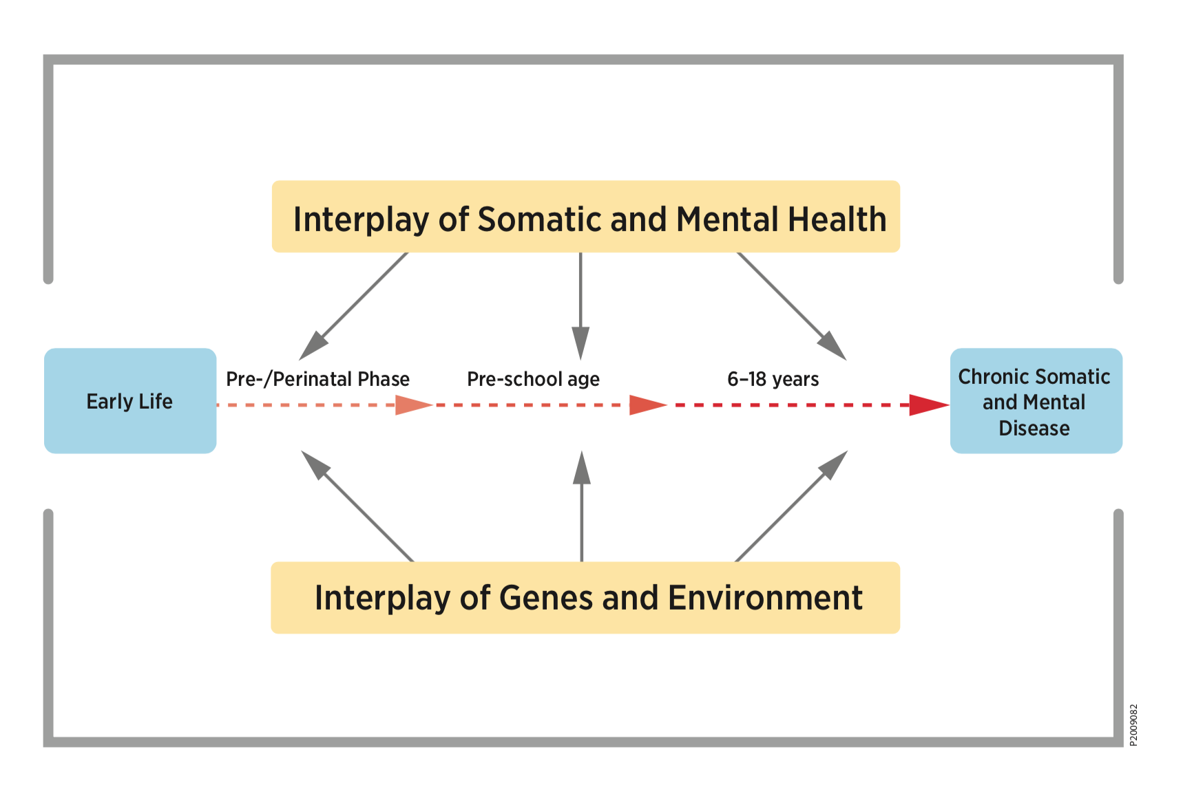 Fig. 1: Overall concept of the early origins of chronic diseases in children and adolescents. Adverse gene-environemental interaction as early as perinatally along with somatic-mental factors can induce early injury, increase susceptibility for manisfestation of chronic disease, and promote chronification and comorbidities.The underlying mechanisms are currently not understood and preventive and therapeutic startegies are rare.