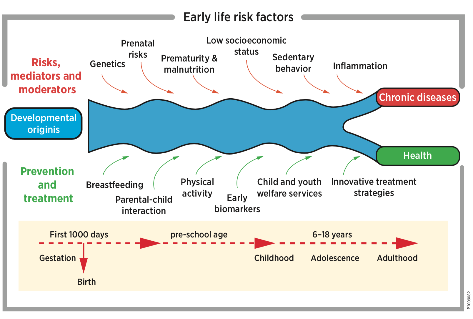 Abb. 8: Early life origins of chronic diseases: red arrows indicate the risks, mediators, and modulators of health and chronic somatic and mental diseases; in contrast, green arrows provide measurements, preventive strategies and therapies to promote health.